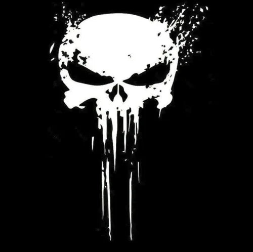 Car Punisher Skull Decal Sticker - Car Decoration Stickers 2024